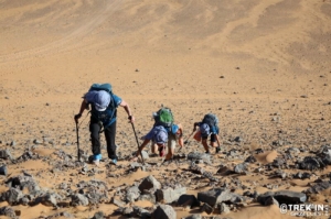 Équipage #129 - Image 3