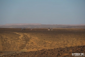 Équipage #134 - Image 2