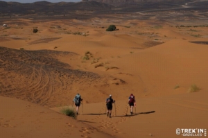 Équipage #42 - Image 1