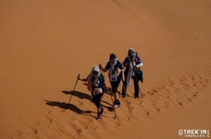 Équipage #49 - Image 1