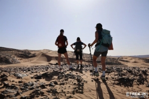 Équipage #77 - Image 3